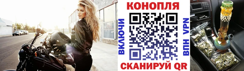 Купить где Закаменск МАРИХУАНА OG Kush
